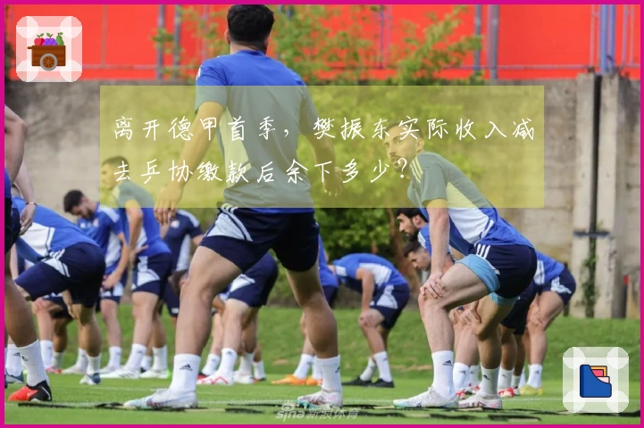 离开德甲首季，樊振东实际收入减去乒协缴款后余下多少？