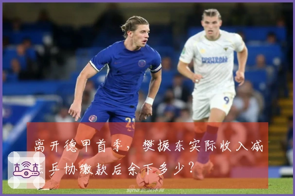 离开德甲首季，樊振东实际收入减去乒协缴款后余下多少？